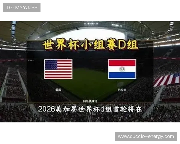 世界杯巴拉圭队D组赛事预测汇总 世界杯巴拉圭队D组赛事预测汇总